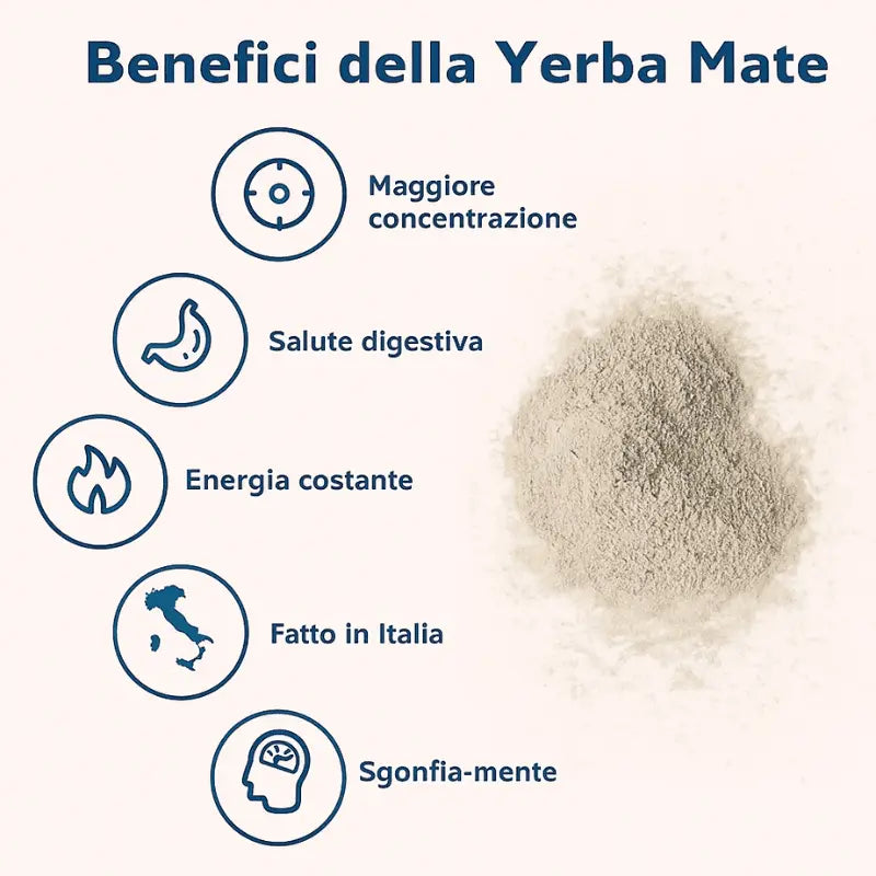 Yerba Mate Tea Mix