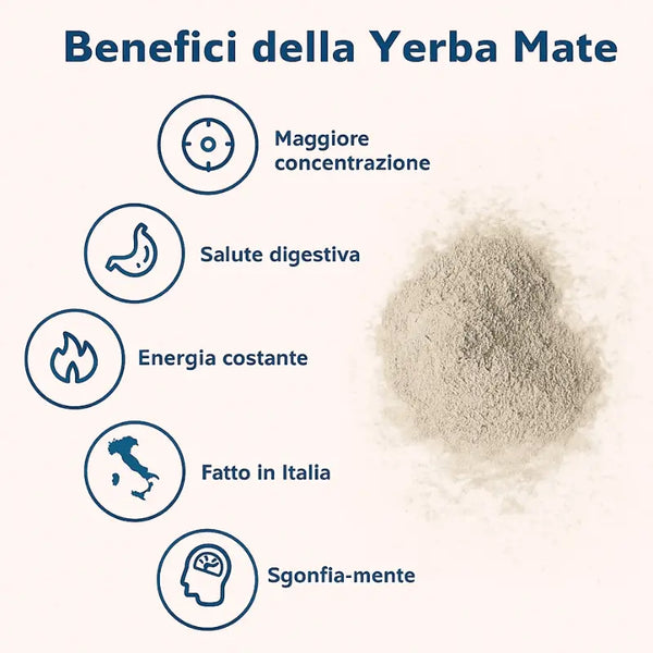 Yerba Mate Tea Mix